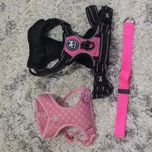 Two harnesses and one collar for puppies